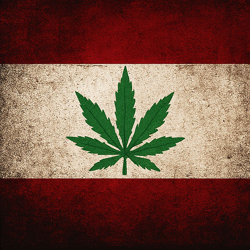 Lebanese Blend Co.